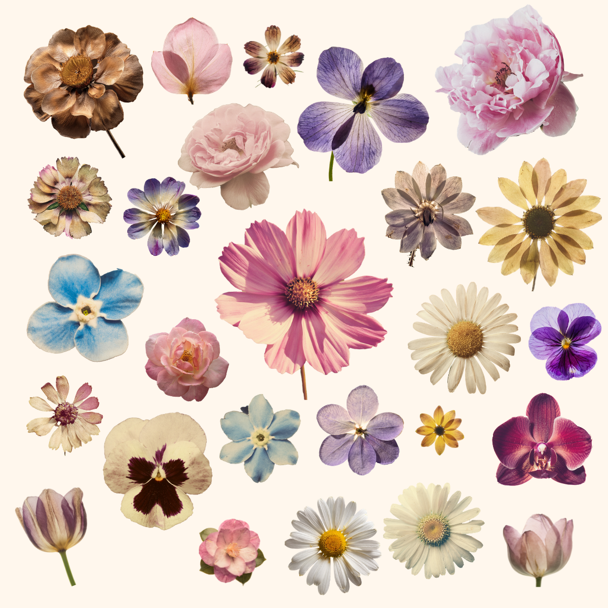Everything Girlhood Sticker Pack